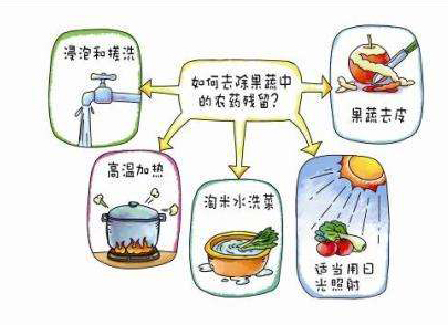 如何減少農(nóng)藥污染去除農(nóng)藥殘留？振華化工總結以下幾點分享給大家